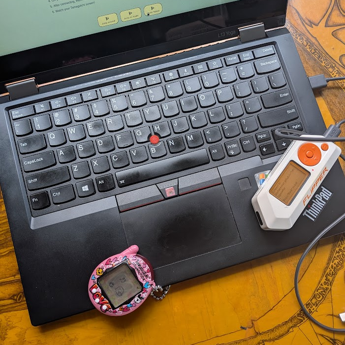 A thinkpad with the web page https://zacharesmer.github.io/tamagometer/ open, a Flipper Zero, and a pink Tamagotchi Connection (2024 version) with two tamagotchis hanging out on the screen